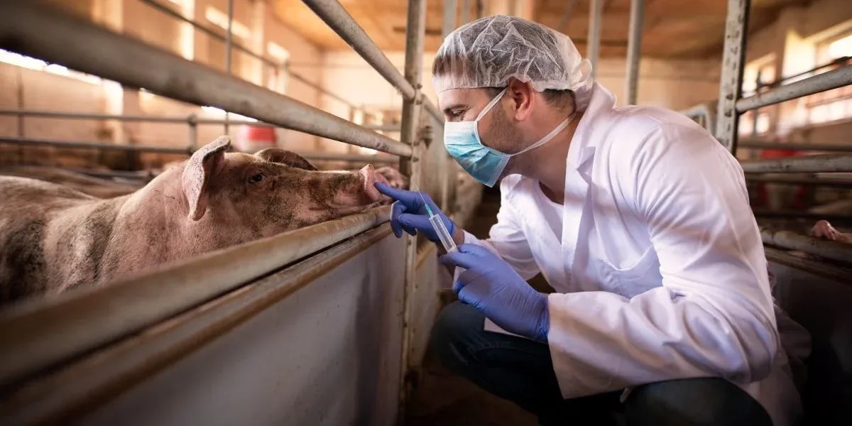 How Computer Vision Monitors Animal Health and Detects Diseases Early?