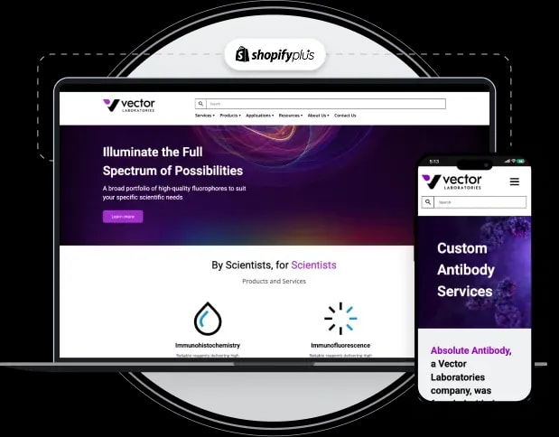 Migrating Vector Laboratories from PHP to Magento 2 with Custom Pricing, Multi-Store, and Regional Access Controls