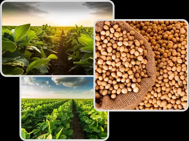 Gro Alliance Crop Lifecycle