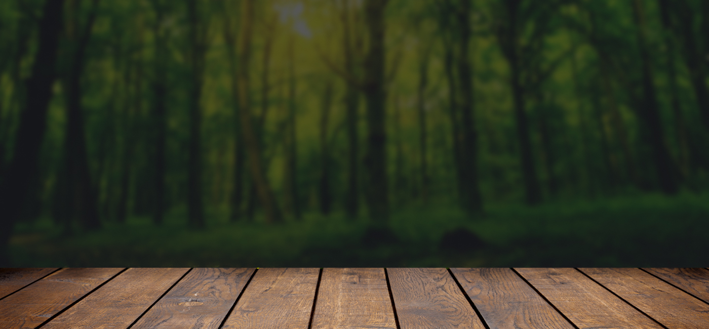 sap-background