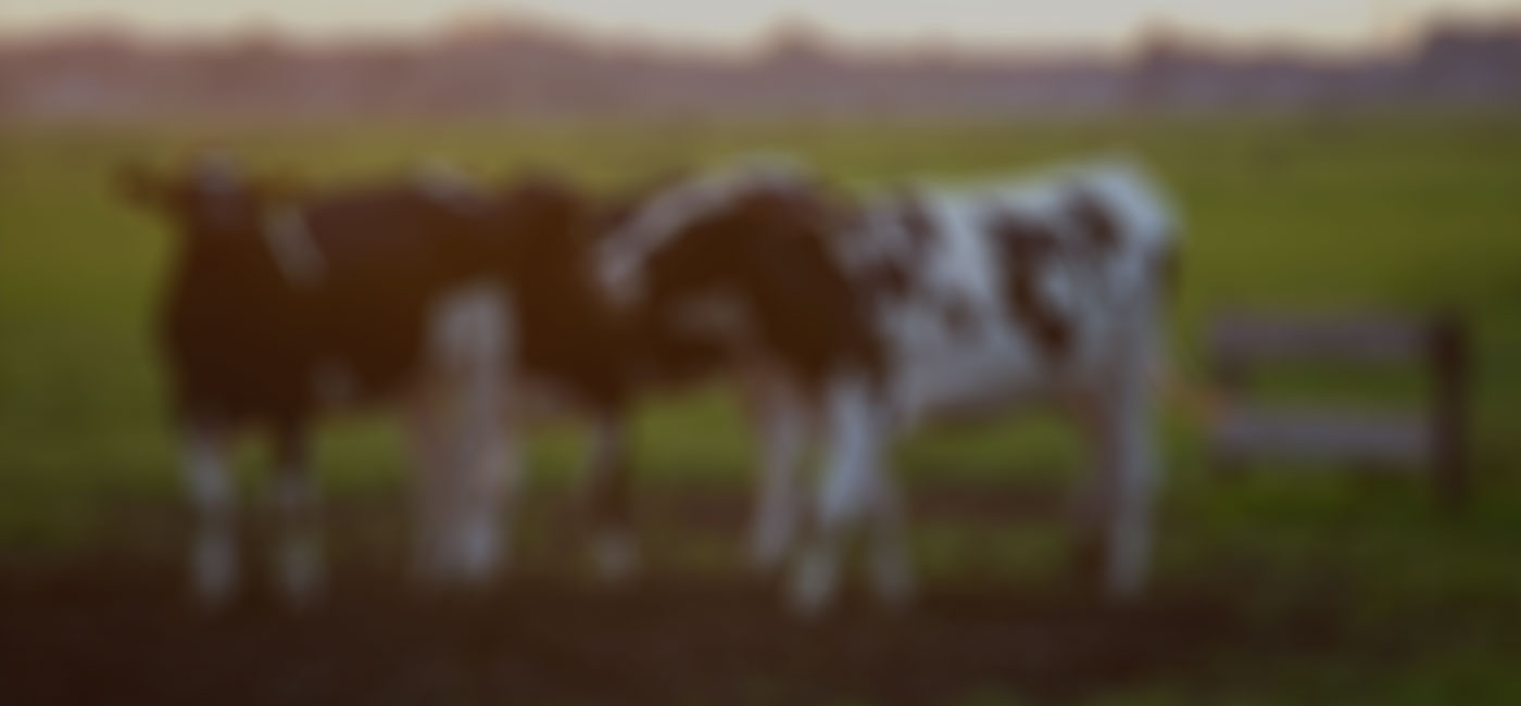 Background2