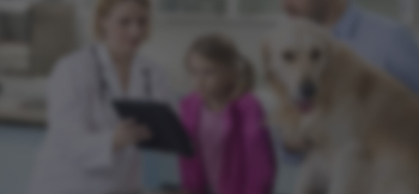 slide_expert_on_call_background